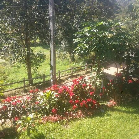 Phuoobfa Resort Pong Yaeng Exterior photo